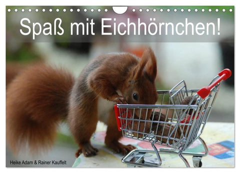 Spaß mit Eichhörnchen! (Wandkalender 2026 DIN A4 quer), CALVENDO Monatskalender