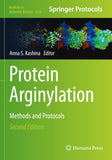 Protein Arginylation