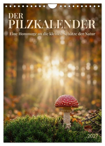 DER PILZKALENDER (Wandkalender 2027 DIN A4 hoch), CALVENDO Monatskalender