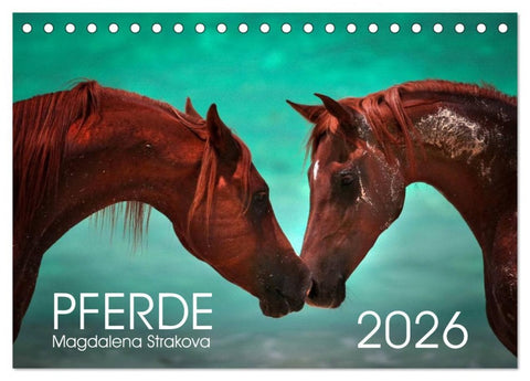 Pferde - Magdalena Strakova (Tischkalender 2026 DIN A5 quer), CALVENDO Monatskalender