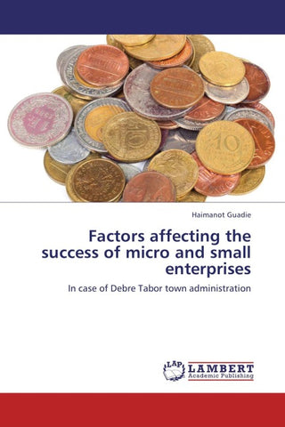 Factors affecting the success of micro and small enterprises