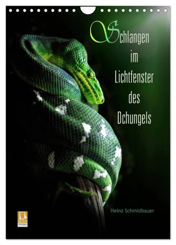 Schlangen im Lichtfenster des Dschungels (Wandkalender 2027 DIN A4 hoch), CALVENDO Monatskalender