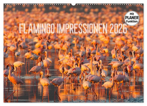 Flamingo Impressionen 2026 (Wandkalender 2026 DIN A2 quer), CALVENDO Monatskalender
