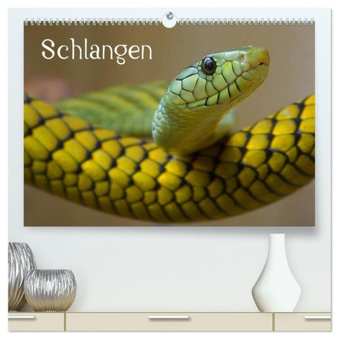 Schlangen (hochwertiger Premium Wandkalender 2027 DIN A2 quer), Kunstdruck in Hochglanz