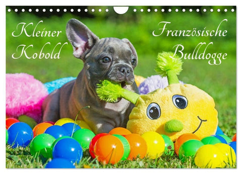 Kleiner Kobold Französische Bulldogge (Wandkalender 2027 DIN A4 quer), CALVENDO Monatskalender