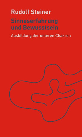 Sinneserfahrung und Bewusstsein