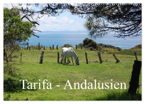 Tarifa - Andalusien (Wandkalender 2026 DIN A2 quer), CALVENDO Monatskalender