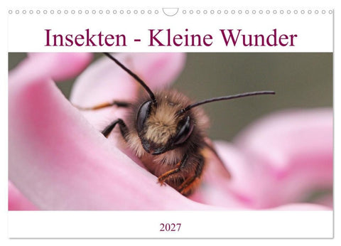 Insekten - Kleine Wunder (Wandkalender 2027 DIN A3 quer), CALVENDO Monatskalender