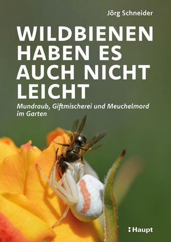 Wildbienen haben es auch nicht leicht