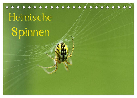 Heimische Spinnen (Tischkalender 2026 DIN A5 quer), CALVENDO Monatskalender