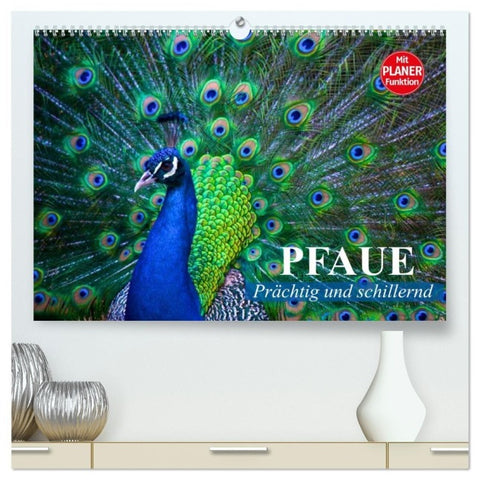 Pfaue. Prächtig und schillernd (hochwertiger Premium Wandkalender 2027 DIN A2 quer), Kunstdruck in Hochglanz