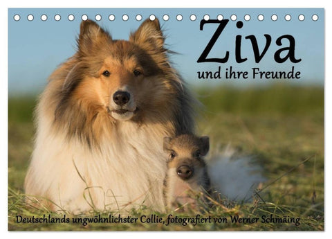 Ziva und ihre Freunde (Tischkalender 2027 DIN A5 quer), CALVENDO Monatskalender