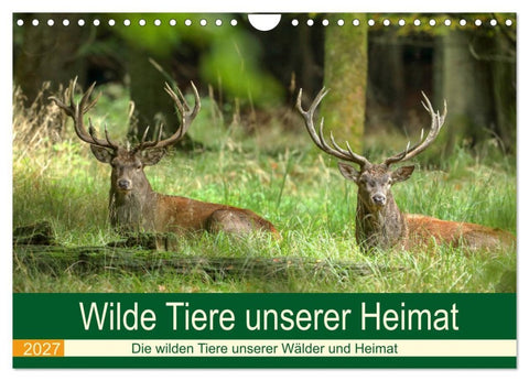 Wilde Tiere unserer Heimat (Wandkalender 2027 DIN A4 quer), CALVENDO Monatskalender