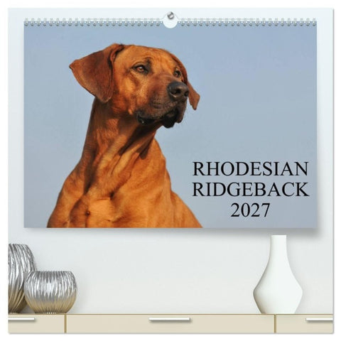 Rhodesian Ridgeback 2027 (hochwertiger Premium Wandkalender 2027 DIN A2 quer), Kunstdruck in Hochglanz