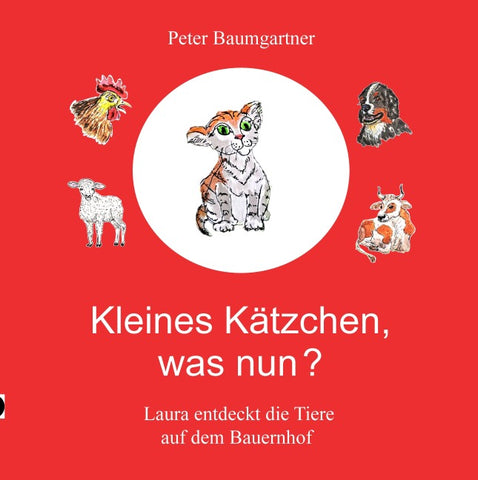 Kleines Kätzchen, was nun?
