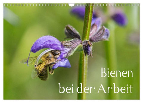 Bienen bei der Arbeit (Wandkalender 2027 DIN A3 quer), CALVENDO Monatskalender