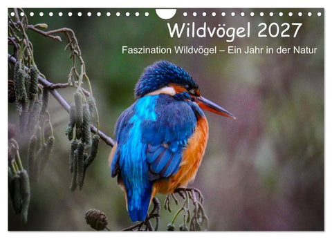 Wildvögel 2027 (Wandkalender 2027 DIN A4 quer), CALVENDO Monatskalender