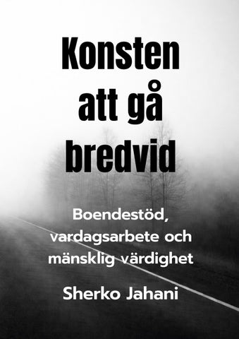 Konsten att gå bredvid