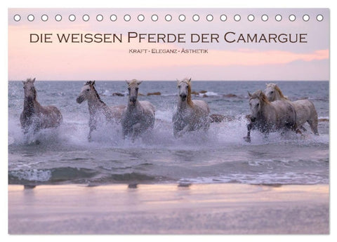 Die weißen Pferde der Camargue (Tischkalender 2027 DIN A5 quer), CALVENDO Monatskalender