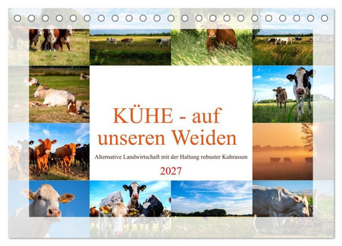 Kühe - auf unseren Weiden (Tischkalender 2027 DIN A5 quer), CALVENDO Monatskalender