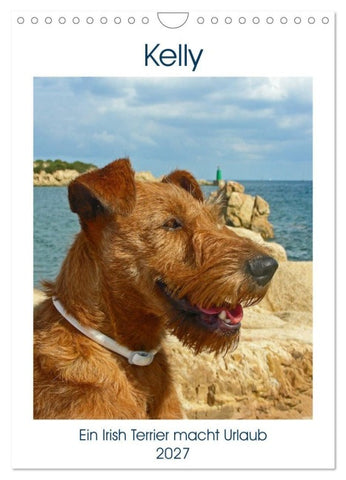 Kelly - Ein Irish Terrier macht Urlaub (Wandkalender 2027 DIN A4 hoch), CALVENDO Monatskalender
