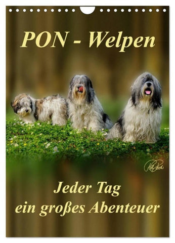 PON-Welpen - jeder Tag ein großes Abenteuer / Planer (Wandkalender 2027 DIN A4 hoch), CALVENDO Monatskalender