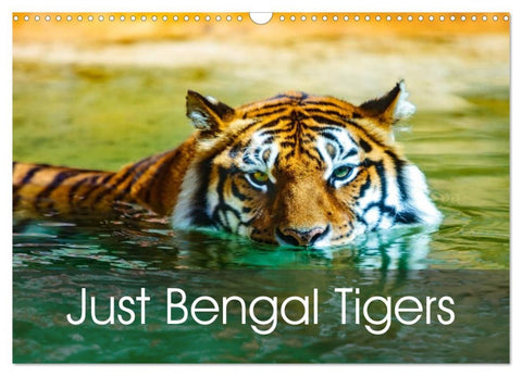 Just Bengal Tigers (Wall Calendar 2026 DIN A3 landscape), CALVENDO 12 Month Wall Calendar