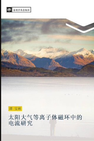 tai yang da qi deng li zi ti ci huan zhong de dian liu yan jiu