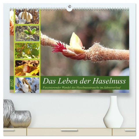 Das Leben der Haselnuss (hochwertiger Premium Wandkalender 2027 DIN A2 quer), Kunstdruck in Hochglanz