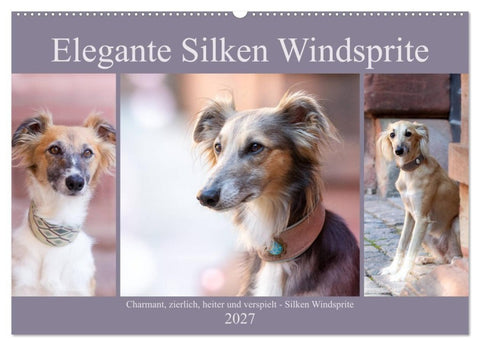 Elegante Silken Windsprite (Wandkalender 2027 DIN A2 quer), CALVENDO Monatskalender