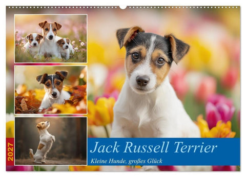 Jack Russell Terrier (Wandkalender 2027 DIN A2 quer), CALVENDO Monatskalender