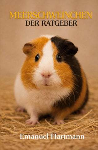 Meerschweinchen