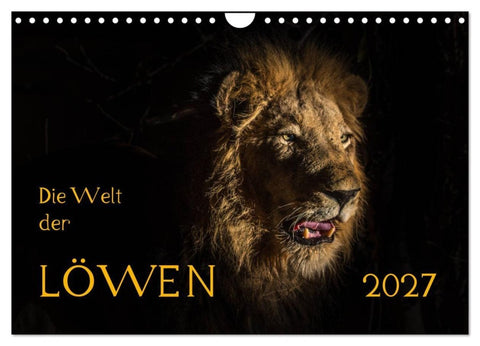 Die Welt der Löwen (Wandkalender 2027 DIN A4 quer), CALVENDO Monatskalender