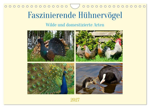 Faszinierende Hühnervögel (Wandkalender 2027 DIN A4 quer), CALVENDO Monatskalender