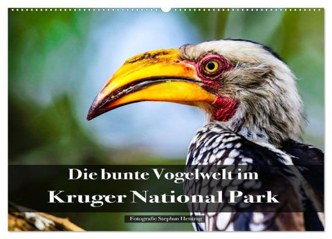 Die bunte Vogelwelt im Kruger National Park (Wandkalender 2027 DIN A2 quer), CALVENDO Monatskalender