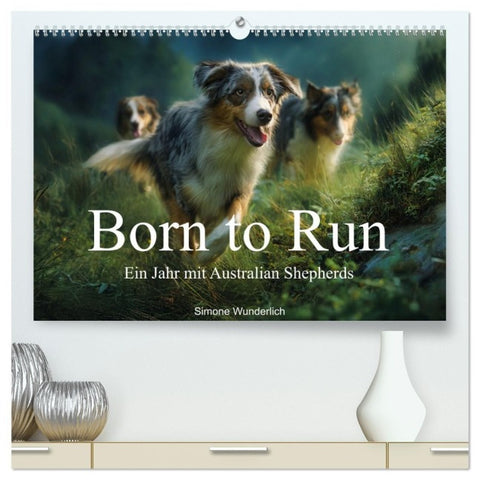 Born to run - Ein Jahr mit Australian Shepherds (hochwertiger Premium Wandkalender 2027 DIN A2 quer), Kunstdruck in Hochglanz