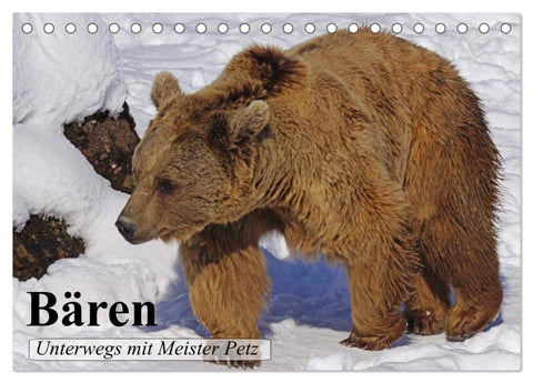 Bären. Unterwegs mit Meister Petz (Tischkalender 2026 DIN A5 quer), CALVENDO Monatskalender