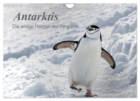 Antarktis, die eisige Heimat der Pinguine (Wandkalender 2027 DIN A4 quer), CALVENDO Monatskalender