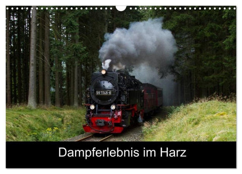 Dampferlebnis im Harz (Wandkalender 2026 DIN A3 quer), CALVENDO Monatskalender