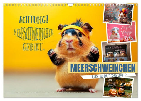 Meerschweinchen LUSTIG DURCHS JAHR (Wandkalender 2027 DIN A3 quer), CALVENDO Monatskalender