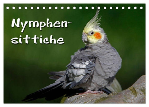 Nymphensittiche (Tischkalender 2027 DIN A5 quer), CALVENDO Monatskalender
