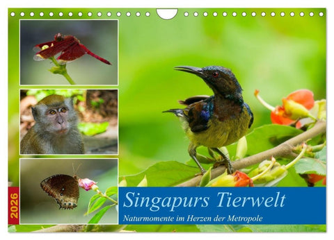 Singapurs Tierwelt (Wandkalender 2026 DIN A4 quer), CALVENDO Monatskalender