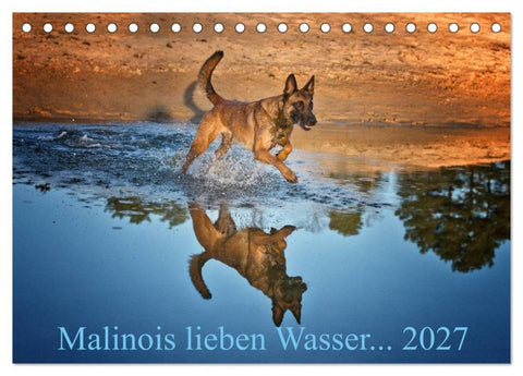 Malinois lieben Wasser (Tischkalender 2027 DIN A5 quer), CALVENDO Monatskalender