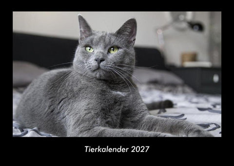 Tierkalender 2027 Fotokalender DIN A3