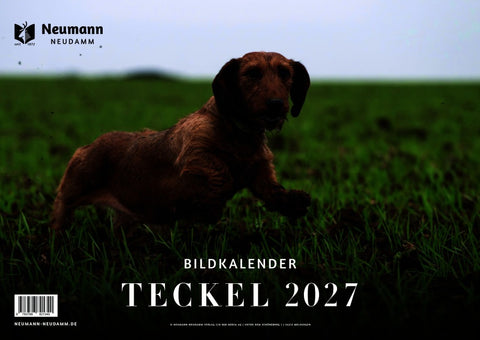Teckel 2027 - Themenkalender