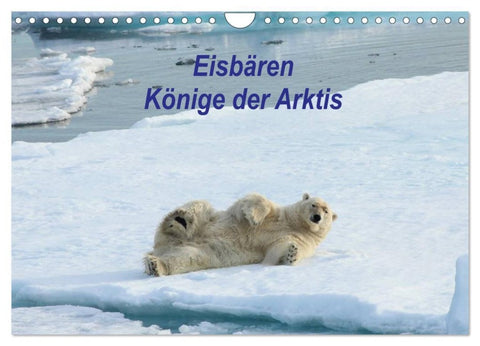 Eisbären - Könige der Arktis (Wandkalender 2027 DIN A4 quer), CALVENDO Monatskalender