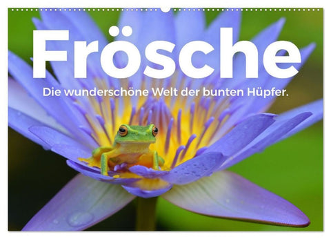 Frösche - Die wunderschöne Welt der bunten Hüpfer. (Wandkalender 2027 DIN A2 quer), CALVENDO Monatskalender