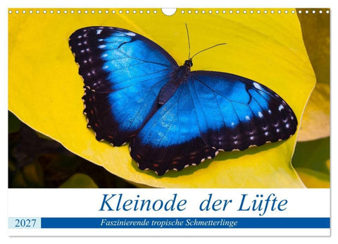 Kleinode der Lüfte - Faszinierende tropische Schmetterlinge (Wandkalender 2027 DIN A3 quer), CALVENDO Monatskalender