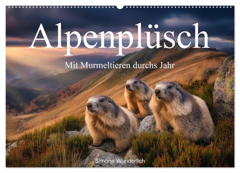 Alpenplüsch - Mit Murmeltieren durchs Jahr (Wandkalender 2027 DIN A2 quer), CALVENDO Monatskalender