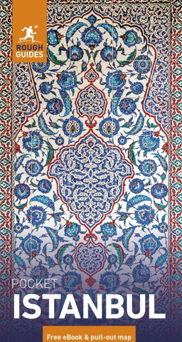Rough Guides Pocket Istanbul: Travel Guide with eBook
